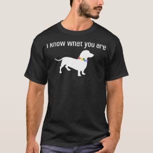 Funny Quote Meme I Know What You Are Homophobic Do T-Shirt