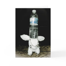 Funny Rabbit Birthday Card. Be eXtraordinary