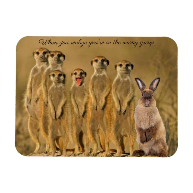 Funny Rabbit Meerkat Magnet (Horizontal)