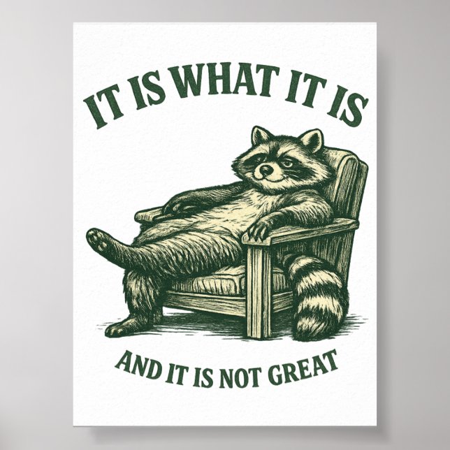 Funny Racoon Meme Printable Digital Download Poster (Front)