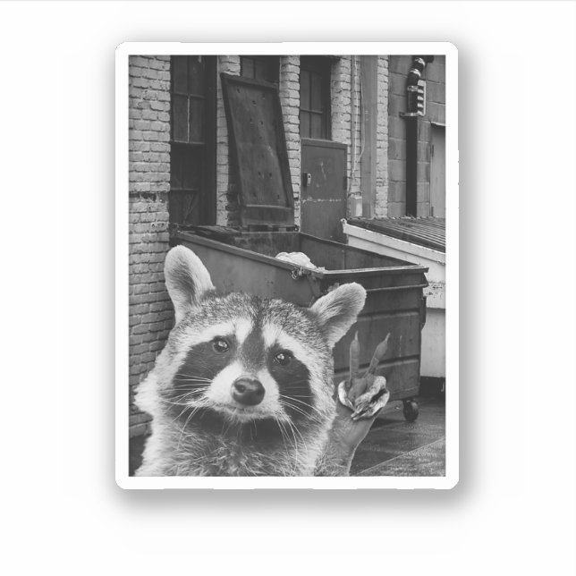 Funny Racoon Selfie Racoon Funny Racoon (Front)