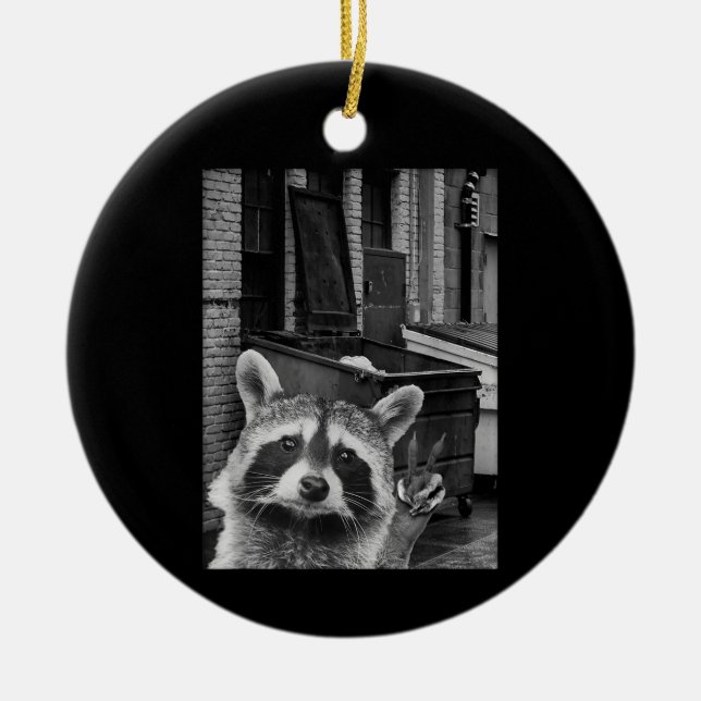 Funny Racoon Selfie Racoon Funny Racoon Ceramic Ornament (Front)