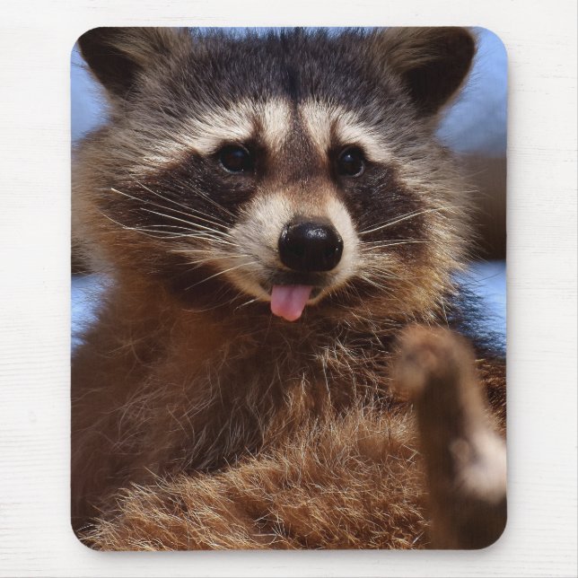 Funny Racoon Sticking It's Tongue Out Mouse Pad (Front)