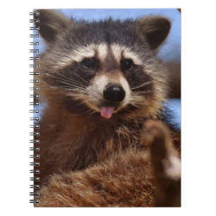 Funny Racoon Sticking It's Tongue Out Notebook