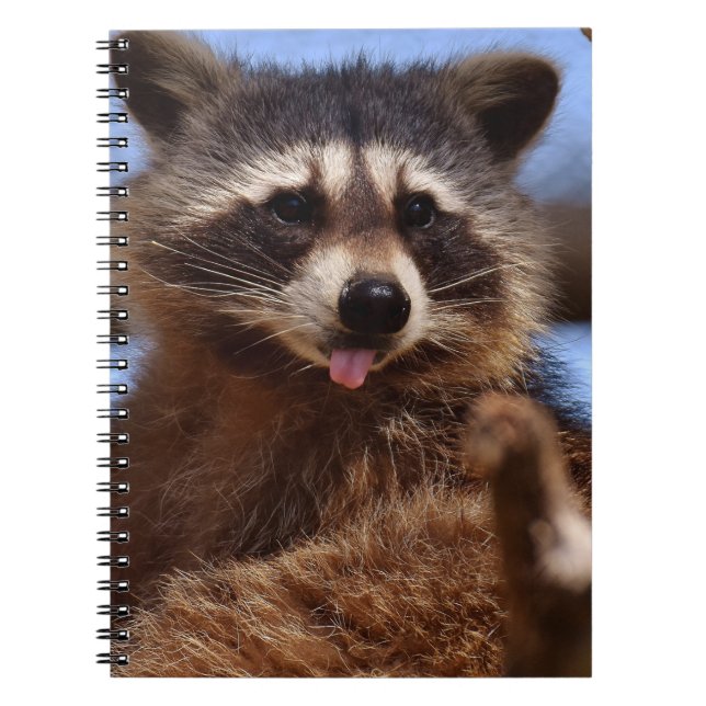 Funny Racoon Sticking It's Tongue Out Notebook (Front)