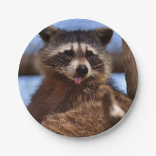 Funny Racoon Sticking It's Tongue Out Paper Plate