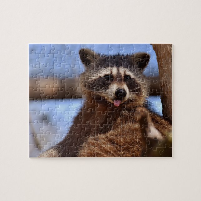 Funny Racoon Sticking It's Tongue Out Photo Jigsaw Puzzle (Horizontal)