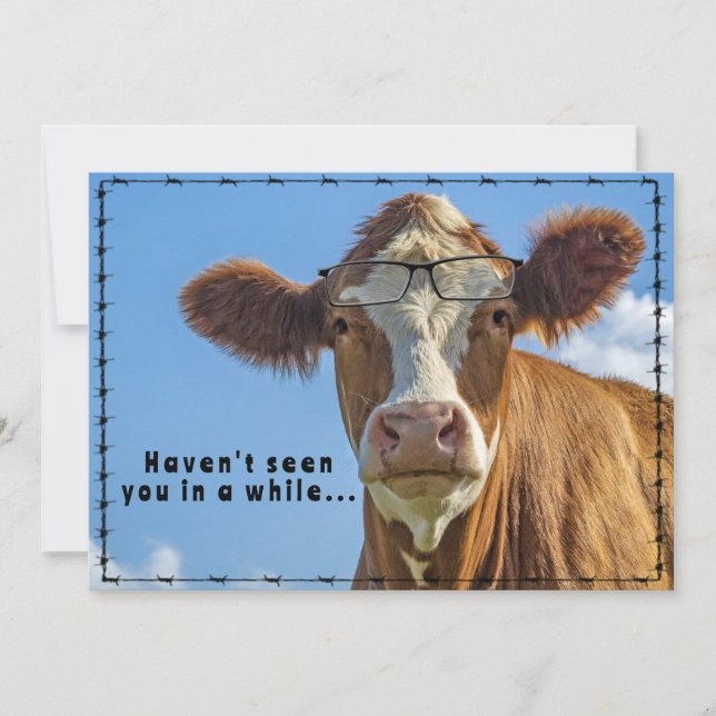 Funny Ranch Farm Country Western Cow Glasses Holiday Card (Front)