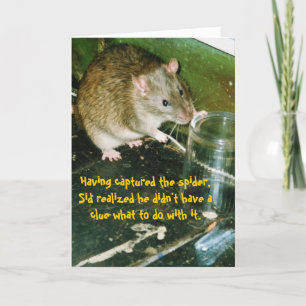 funny rat birthday card
