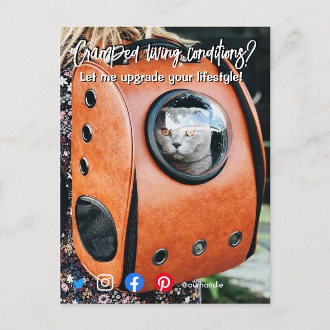 funny real estate postcard cramped living cat (Front)