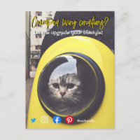 funny real estate postcard cramped living cat