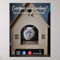 funny real estate postcard cramped living cat post