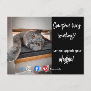funny real estate postcard cramped living cats