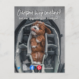 funny real estate postcard cramped living dog