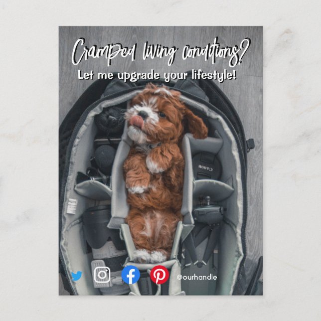 funny real estate postcard cramped living dog (Front)