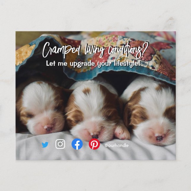 funny real estate postcard cramped living dog flyer (Front)