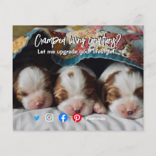 funny real estate postcard cramped living dog flyer