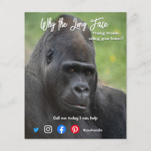 funny real estate postcard long face ape flyer