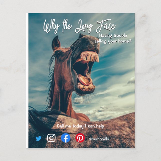 funny real estate postcard long face horse flyer (Front)