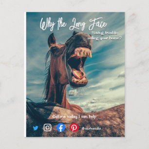 funny real estate postcard long face horse flyer