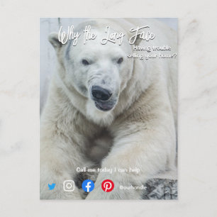 funny real estate postcard long face white bear