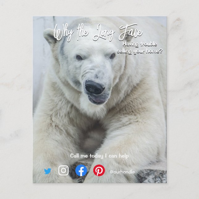 funny real estate postcard long face white bear flyer (Front)
