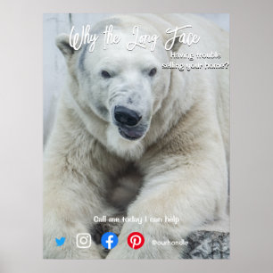 funny real estate postcard long face white bear poster