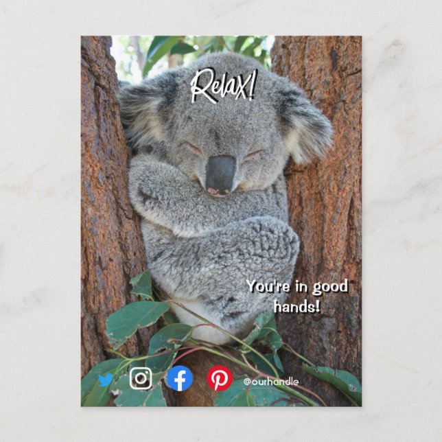 funny real estate postcard relaxed koala (Front)