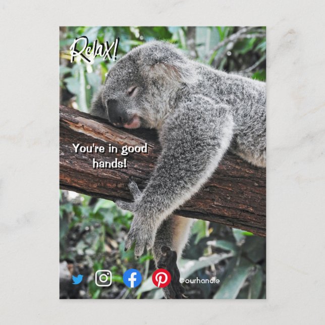 funny real estate postcard relaxed koala (Front)