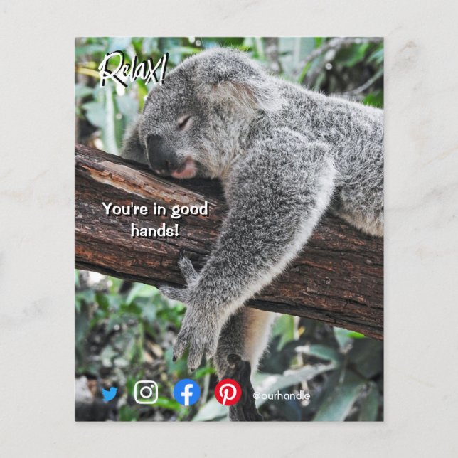 funny real estate postcard relaxed koala flyer (Front)