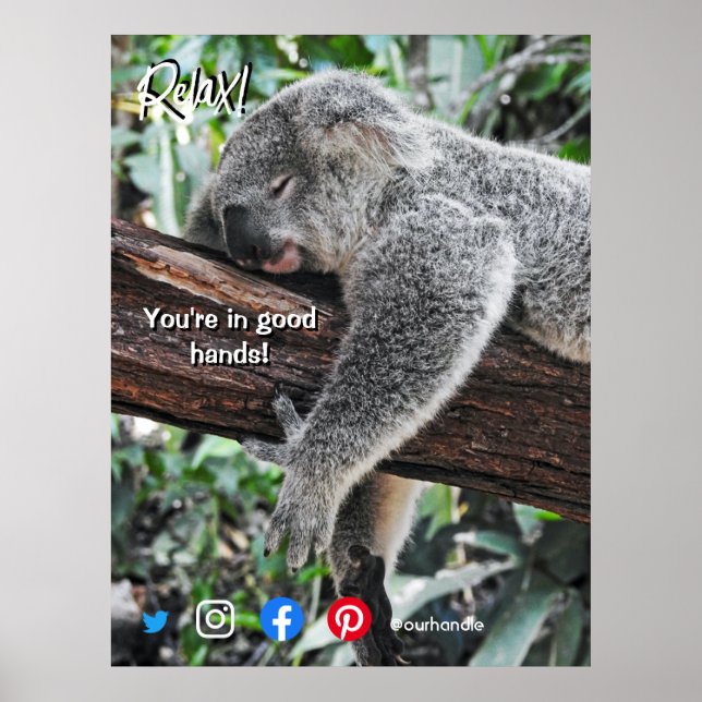 funny real estate postcard relaxed koala poster (Front)