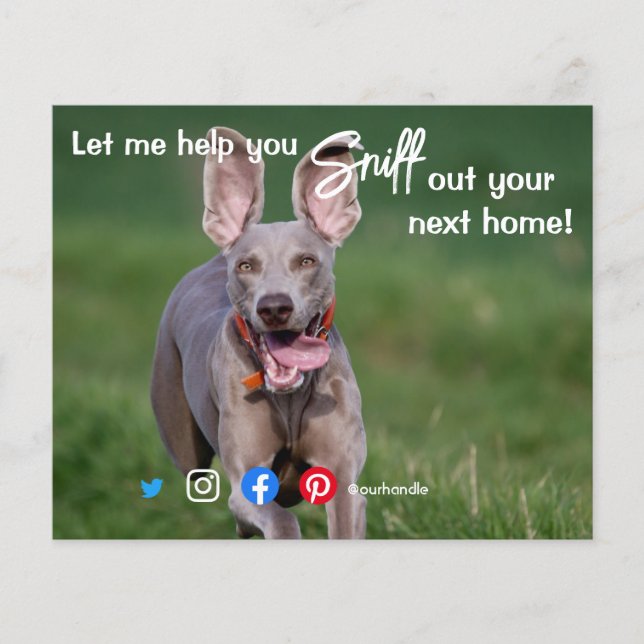 funny real estate sniff out your next home dog fly flyer (Front)
