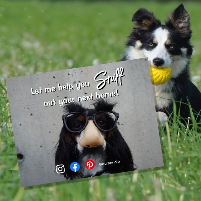 funny real estate sniff out your next home dog postcard (Creator Uploaded)