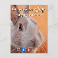 funny real estate sniff out your next home rabbit