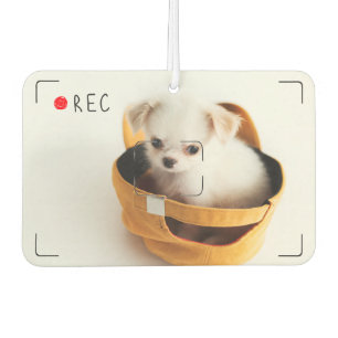 Funny Record Red Dot Custom Pet Photo Car Air Freshener