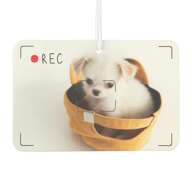 Funny Record Red Dot Custom Pet Photo Car Air Freshener (Front)