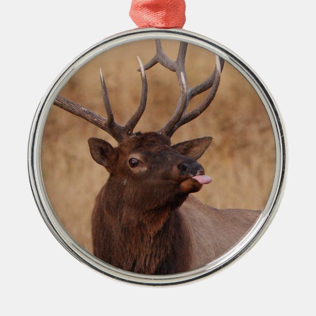 funny reindeer metal ornament (Front)