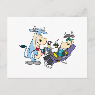 funny relaxing pampered cow cartoon postcard