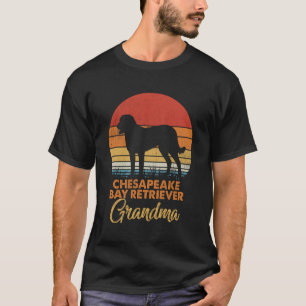 Funny Retro Vintage Sunset Chesapeake Bay Retrieve T-Shirt