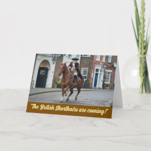 Funny Revolutionary War Tabby Card