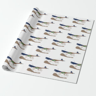 Funny roadrunner desert bird cartoon illustration wrapping paper