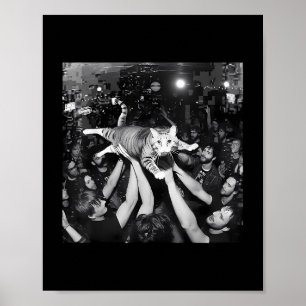 Funny Rock Show Cat Meme Cute Tabby Kitten Crowd S Poster