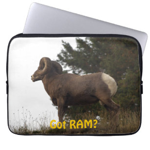 Funny Rocky Mountain Wild Big Horn Sheep Laptop Sleeve