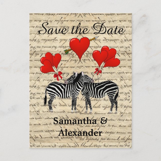 Funny romantic zebra save the date announcement postcard (Front)