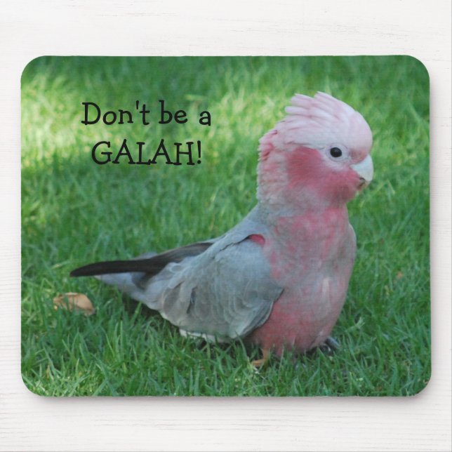 Funny Roseate Cockatoo Don't Be A Galah Mouse Pad (Front)