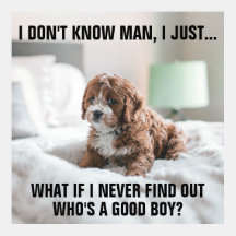 Funny Sad Puppy on Bed Meme