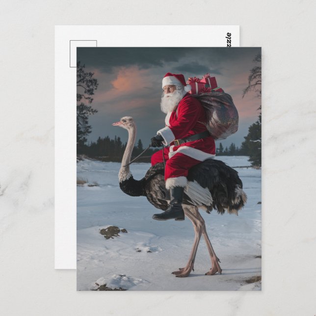 Funny Santa and Ostrich Postcard (Front/Back)