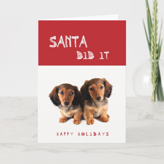 Funny Santa Did It Dachshund puppies Holiday Card (Front)