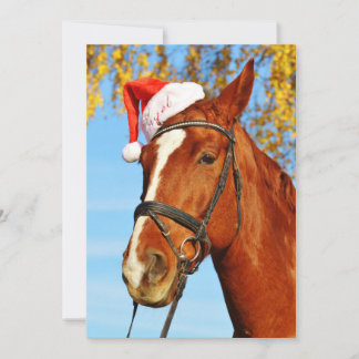 Funny Santa Hat Horse Christmas Holiday Card