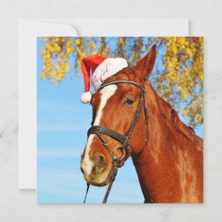 Funny Santa Hat Horse Christmas Holiday Card